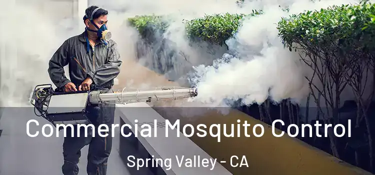 Commercial Mosquito Control Spring Valley - CA