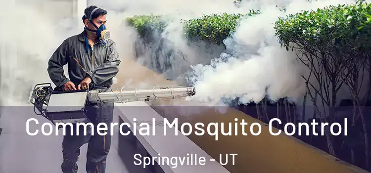  Commercial Mosquito Control Springville - UT