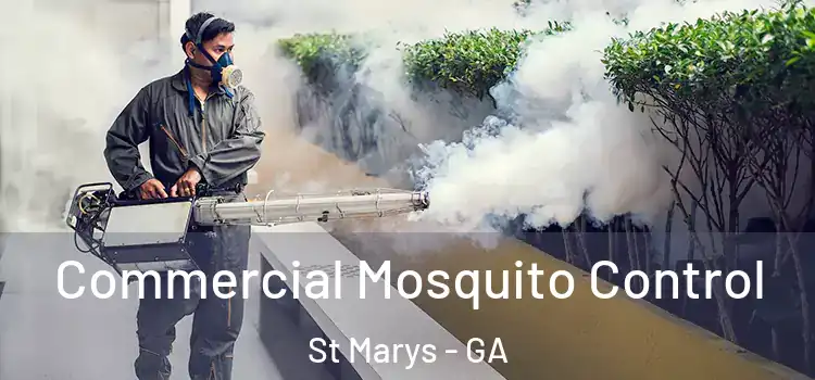 Commercial Mosquito Control St Marys - GA