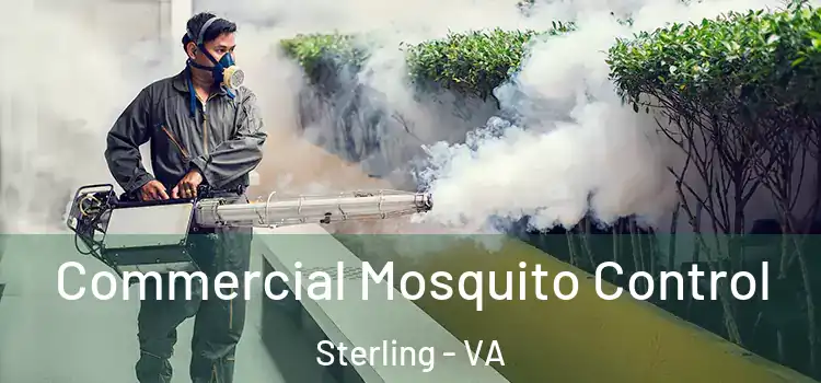  Commercial Mosquito Control Sterling - VA
