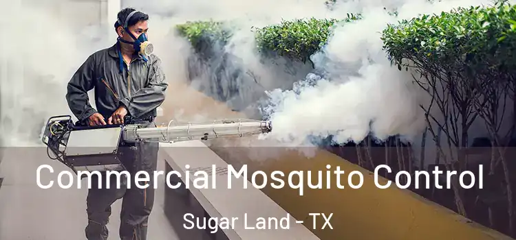 Commercial Mosquito Control Sugar Land - TX