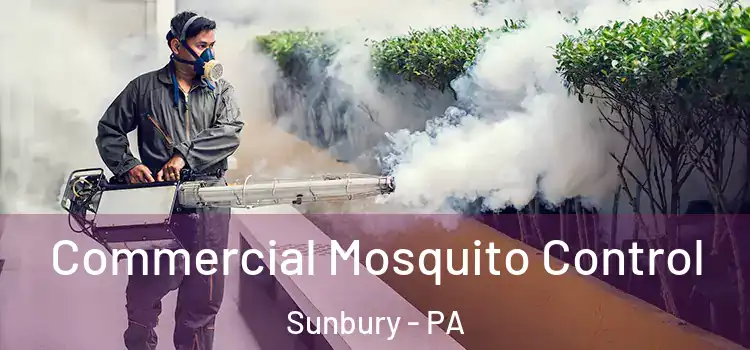  Commercial Mosquito Control Sunbury - PA