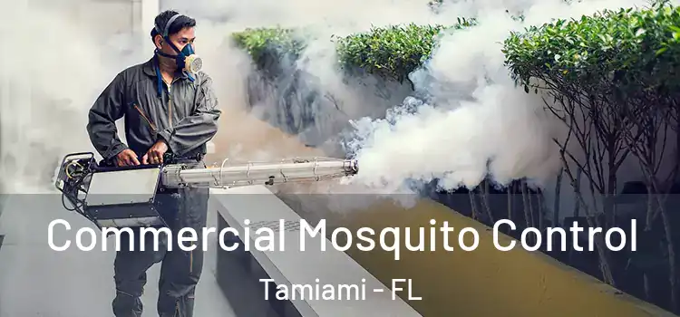 Commercial Mosquito Control Tamiami - FL