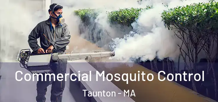  Commercial Mosquito Control Taunton - MA
