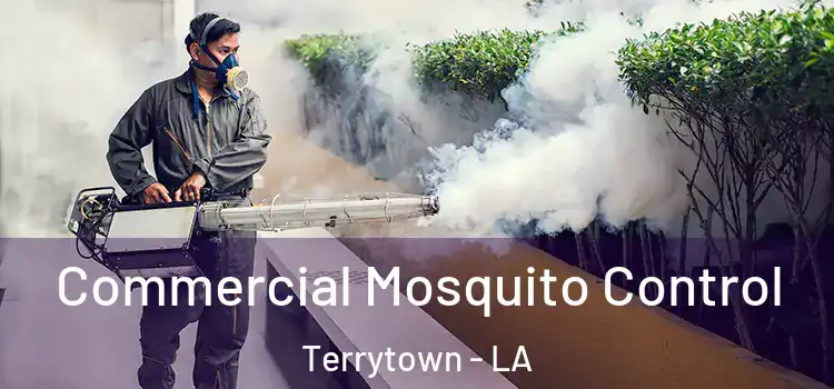 Commercial Mosquito Control Terrytown - LA