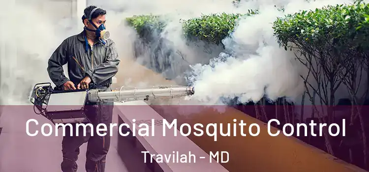  Commercial Mosquito Control Travilah - MD