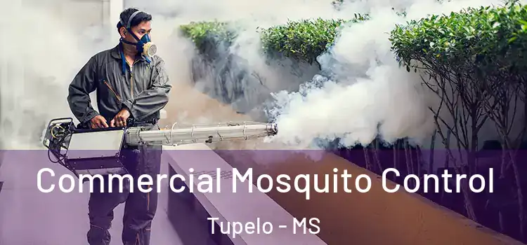  Commercial Mosquito Control Tupelo - MS