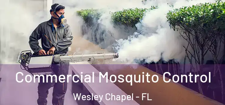 Commercial Mosquito Control Wesley Chapel - FL