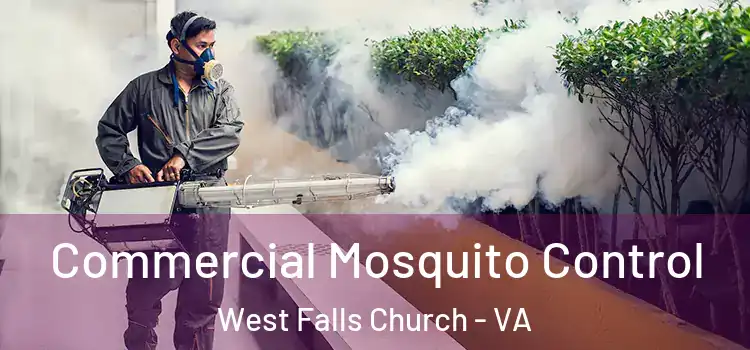  Commercial Mosquito Control West Falls Church - VA