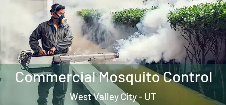  Commercial Mosquito Control West Valley City - UT