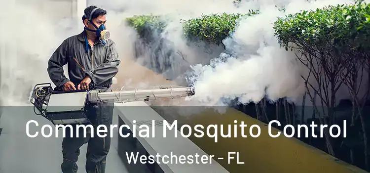 Commercial Mosquito Control Westchester - FL