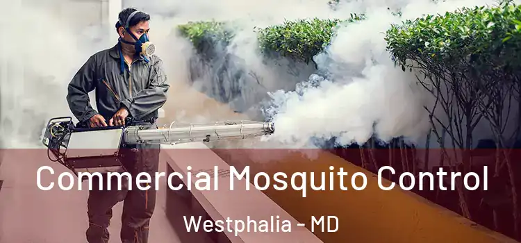 Commercial Mosquito Control Westphalia - MD