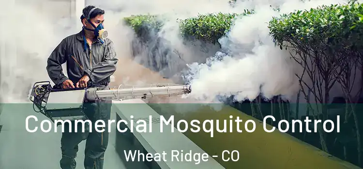  Commercial Mosquito Control Wheat Ridge - CO