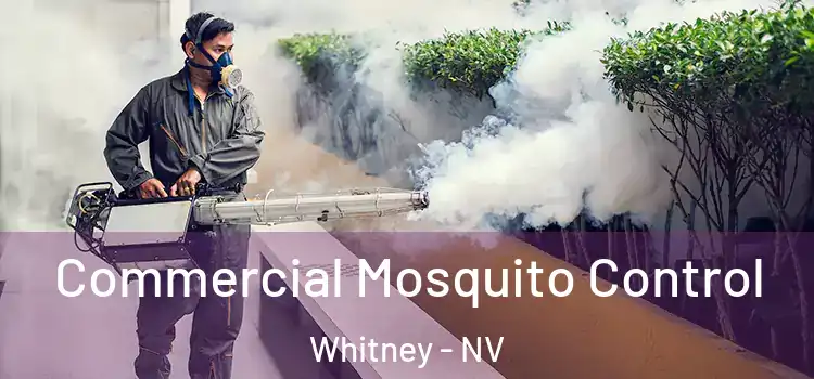  Commercial Mosquito Control Whitney - NV
