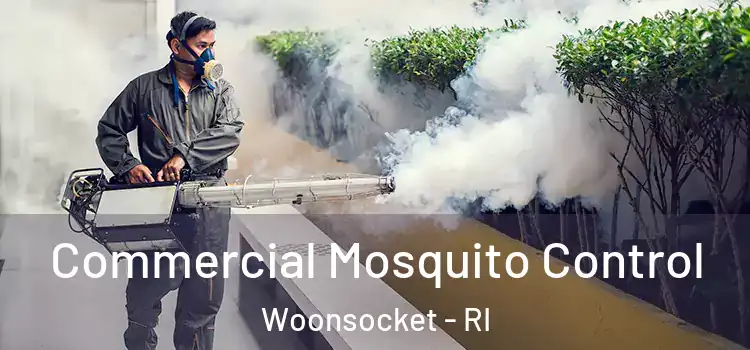 Commercial Mosquito Control Woonsocket - RI