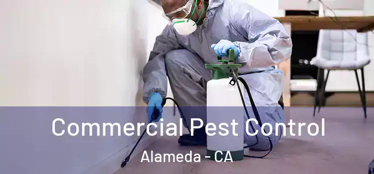  Commercial Pest Control Alameda - CA