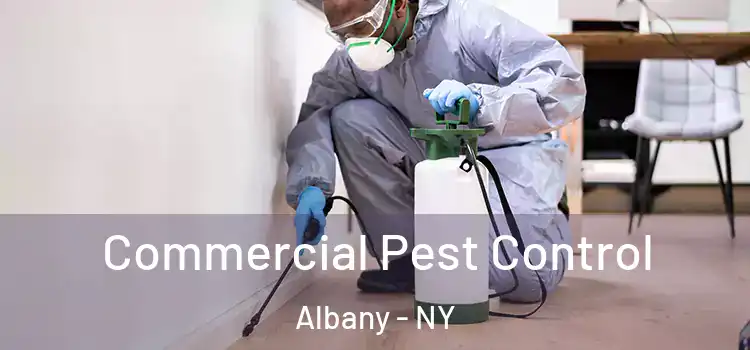 Commercial Pest Control Albany - NY