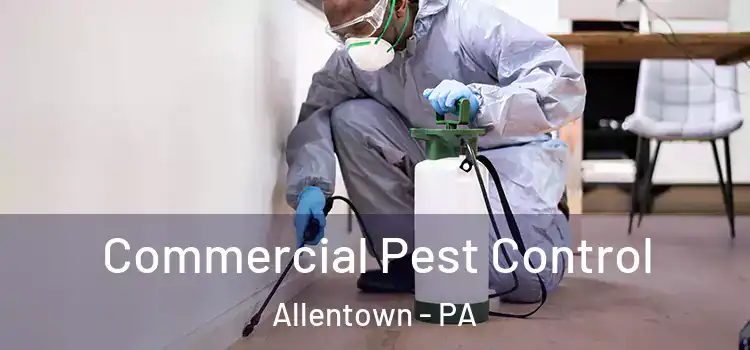  Commercial Pest Control Allentown - PA