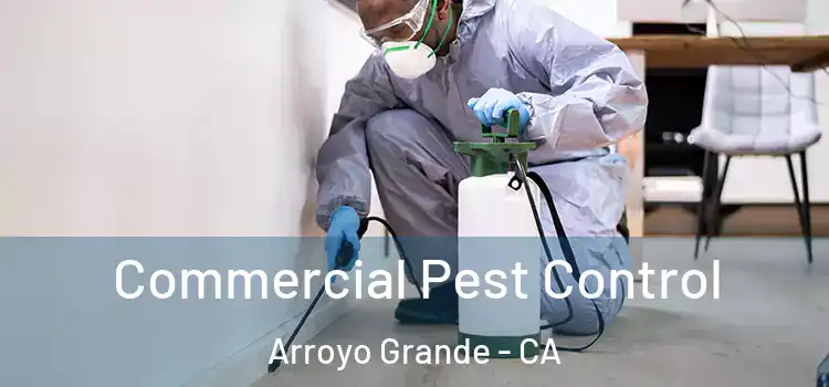 Commercial Pest Control Arroyo Grande - CA