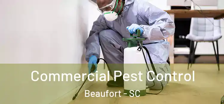 Commercial Pest Control Beaufort - SC