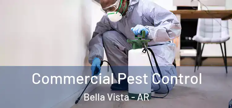 Commercial Pest Control Bella Vista - AR