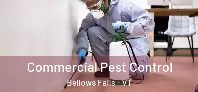  Commercial Pest Control Bellows Falls - VT