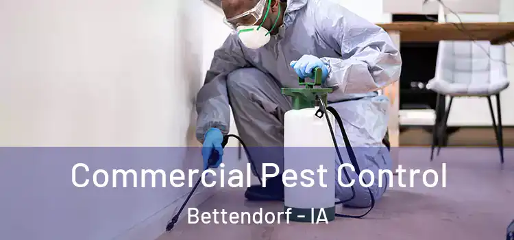 Commercial Pest Control Bettendorf - IA