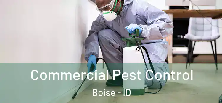 Commercial Pest Control Boise - ID