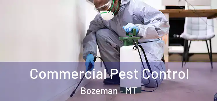  Commercial Pest Control Bozeman - MT