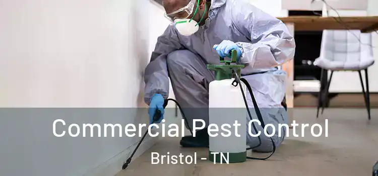  Commercial Pest Control Bristol - TN