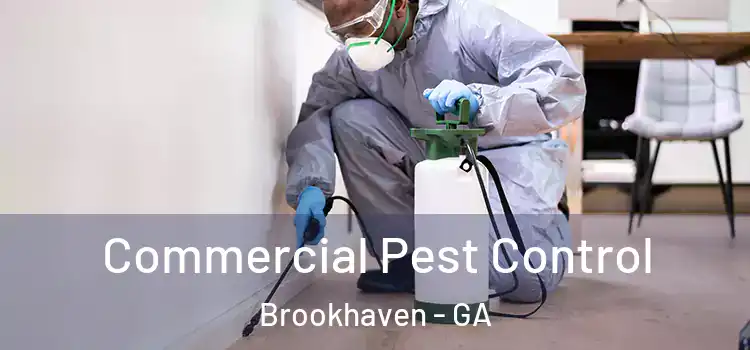  Commercial Pest Control Brookhaven - GA
