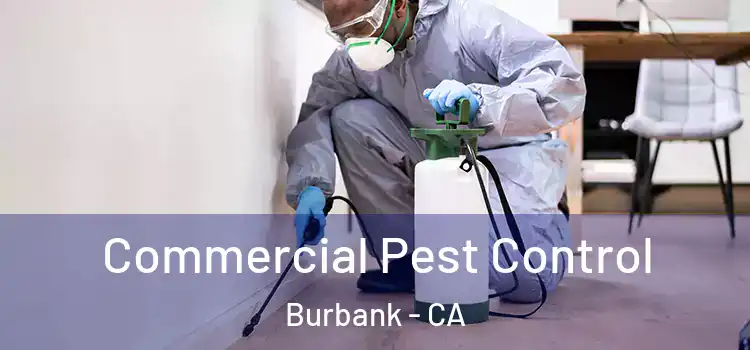 Commercial Pest Control Burbank - CA