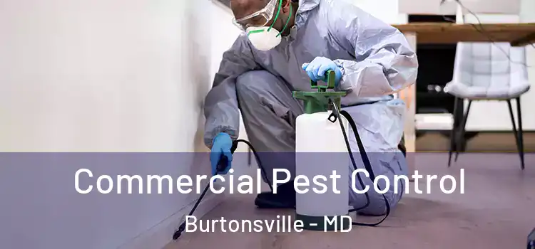  Commercial Pest Control Burtonsville - MD