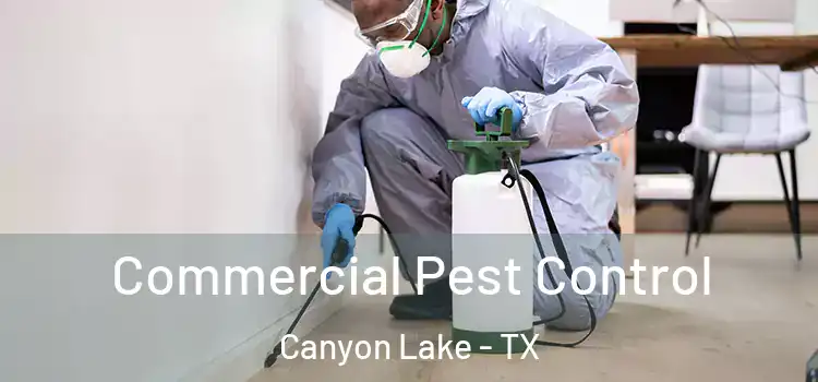  Commercial Pest Control Canyon Lake - TX