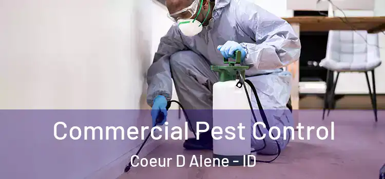  Commercial Pest Control Coeur D Alene - ID