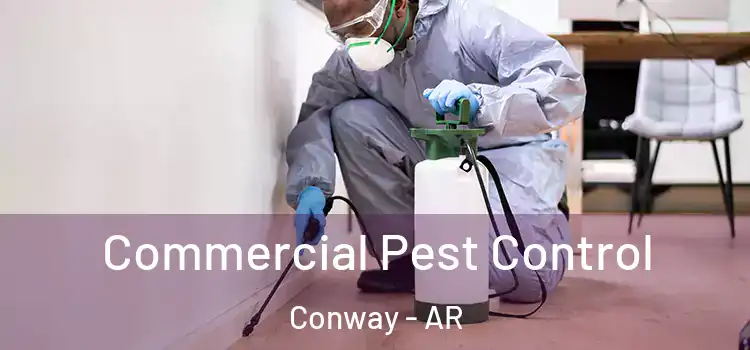  Commercial Pest Control Conway - AR