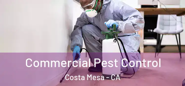  Commercial Pest Control Costa Mesa - CA