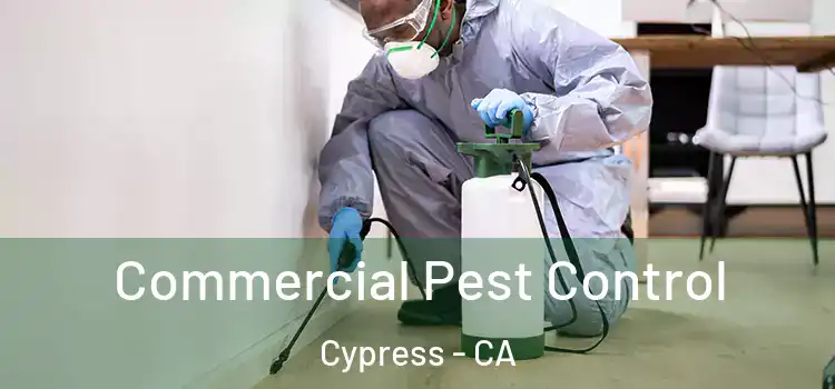 Commercial Pest Control Cypress - CA