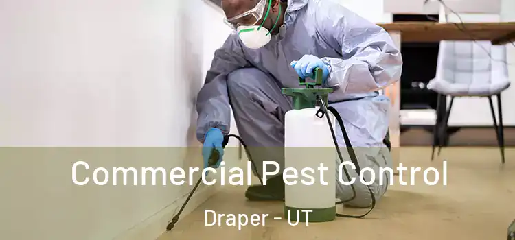  Commercial Pest Control Draper - UT