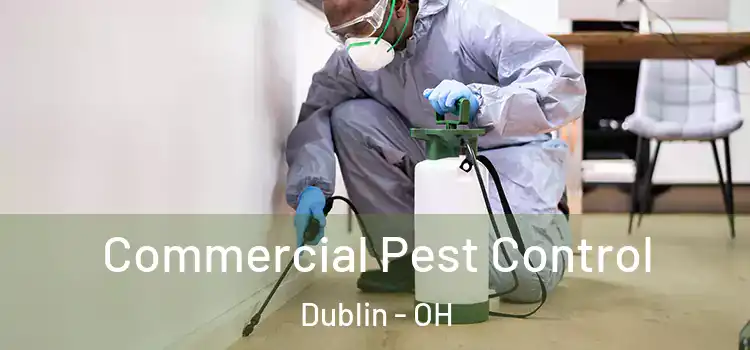  Commercial Pest Control Dublin - OH
