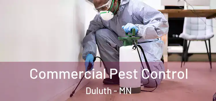  Commercial Pest Control Duluth - MN
