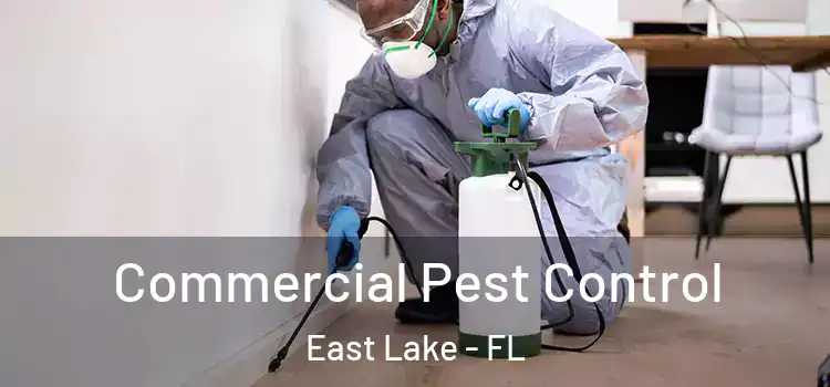  Commercial Pest Control East Lake - FL