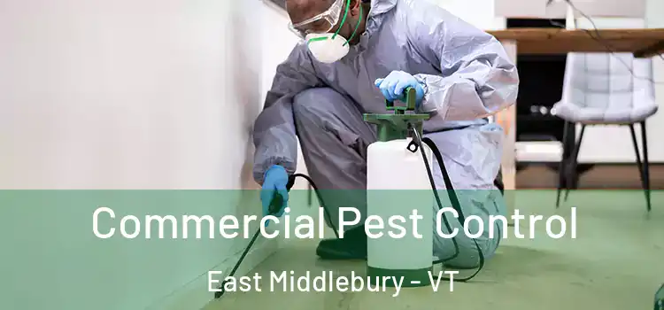  Commercial Pest Control East Middlebury - VT