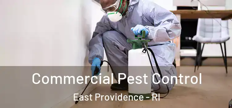  Commercial Pest Control East Providence - RI