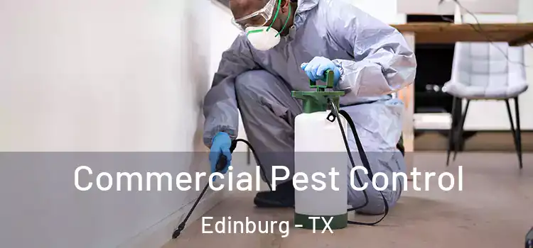Commercial Pest Control Edinburg - TX