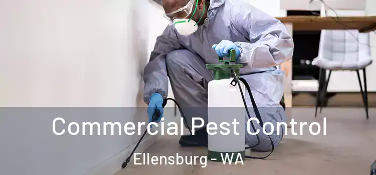 Commercial Pest Control Ellensburg - WA