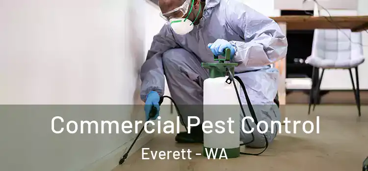 Commercial Pest Control Everett - WA