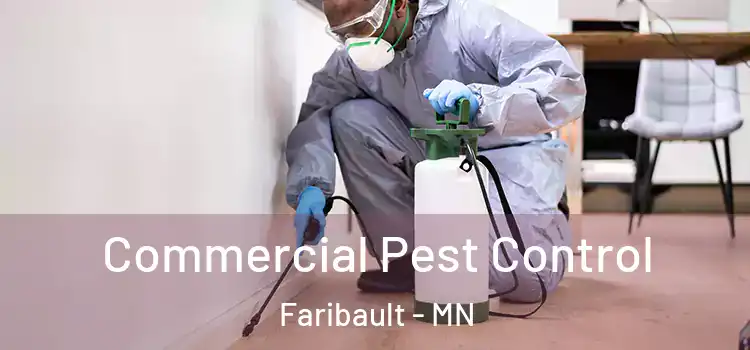  Commercial Pest Control Faribault - MN