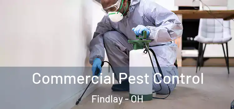  Commercial Pest Control Findlay - OH