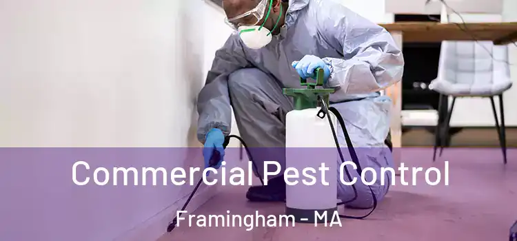  Commercial Pest Control Framingham - MA
